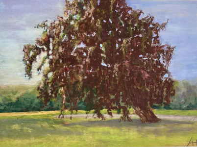 Artists/Images/ResizedExtra/laurence hollanders_image_le hetre pourpre de bonnemare.jpg